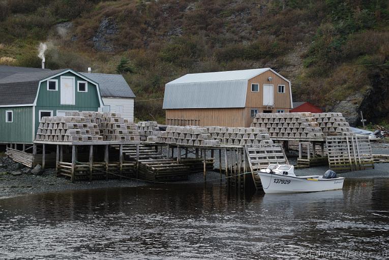 ENE-20101005-0821.jpg - Trout River